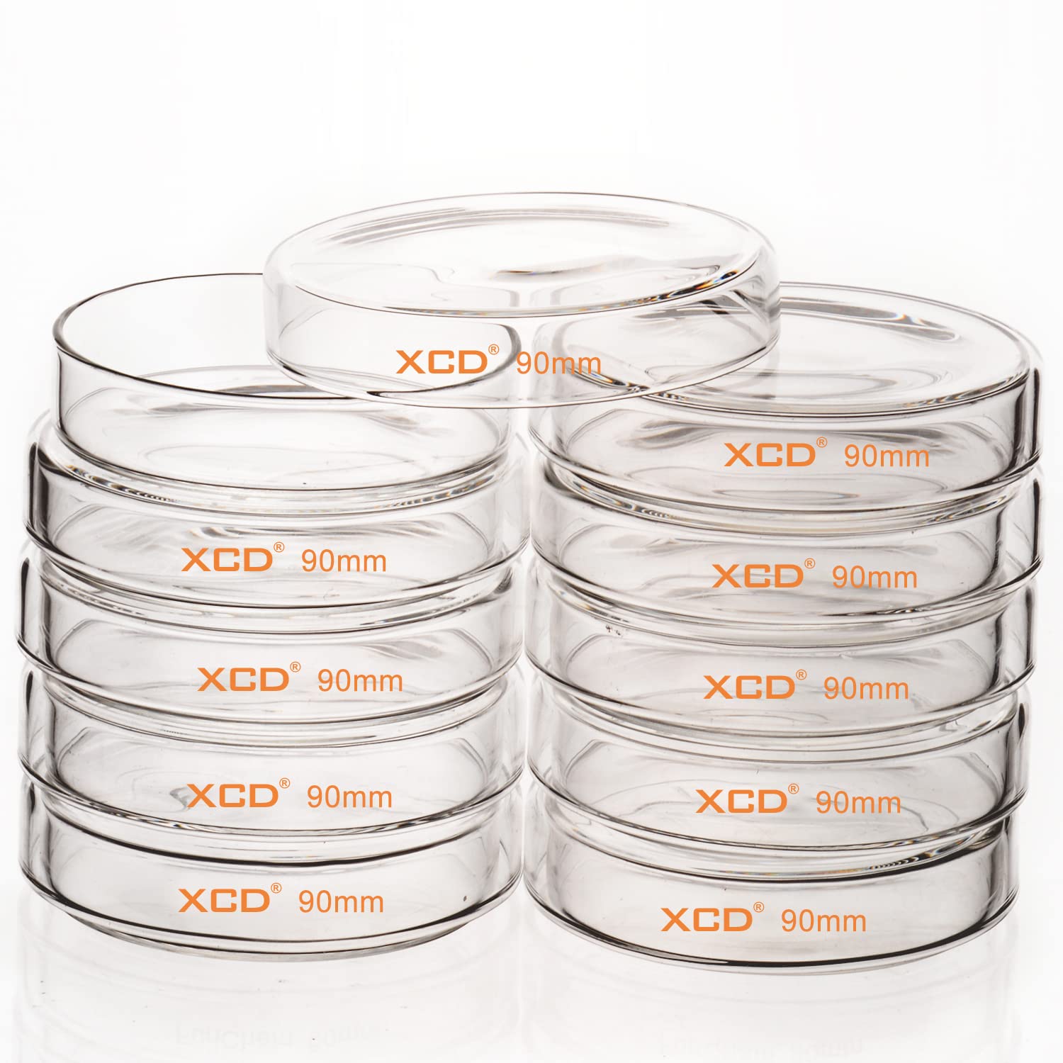 XCD 10 Pack Borosilicate Glass Petri Dishes with Clear Lid - 90x20mm Autoclavable Lab Dishes for Cell Culture, Microbiology Experiments & Scientific Research | Ideal for Laboratories, Schools & Research Facilities