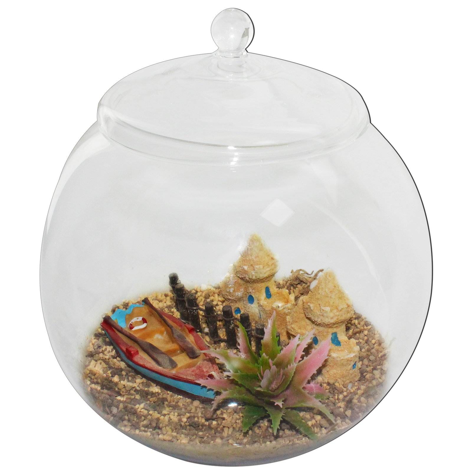7.9 Inch Glass Terrarium Container with Lid - Large Display Jar for Plants, Cookies, Candies, DIY Crafts - Perfect for Home Decor, Wedding Centerpieces & Gift Packaging
