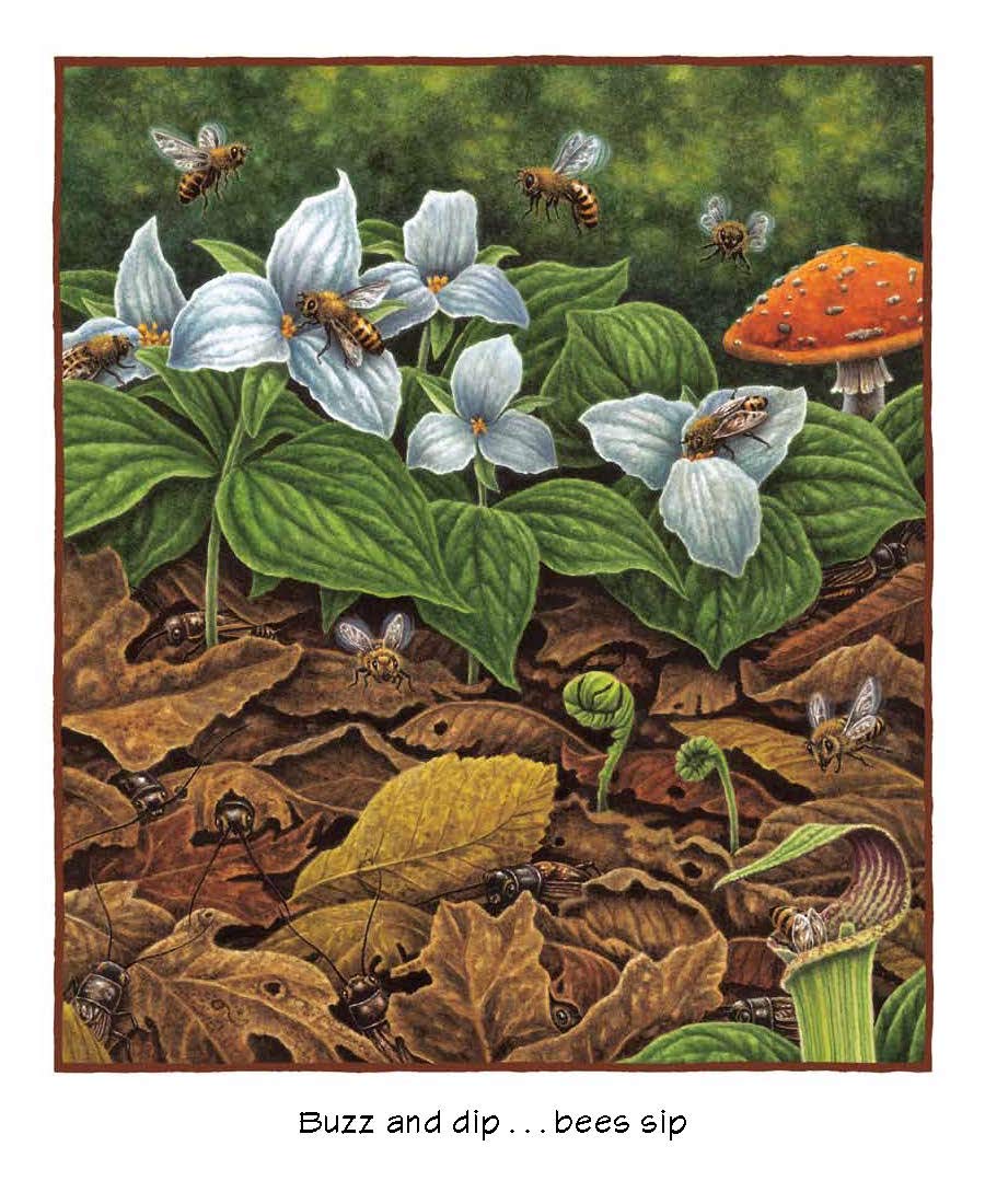 Forest Bright, Forest Night - Beautiful Nature-Themed Wall Art for Home & Office Decor | Perfect for Living Rooms, Bedrooms, and Nurseries