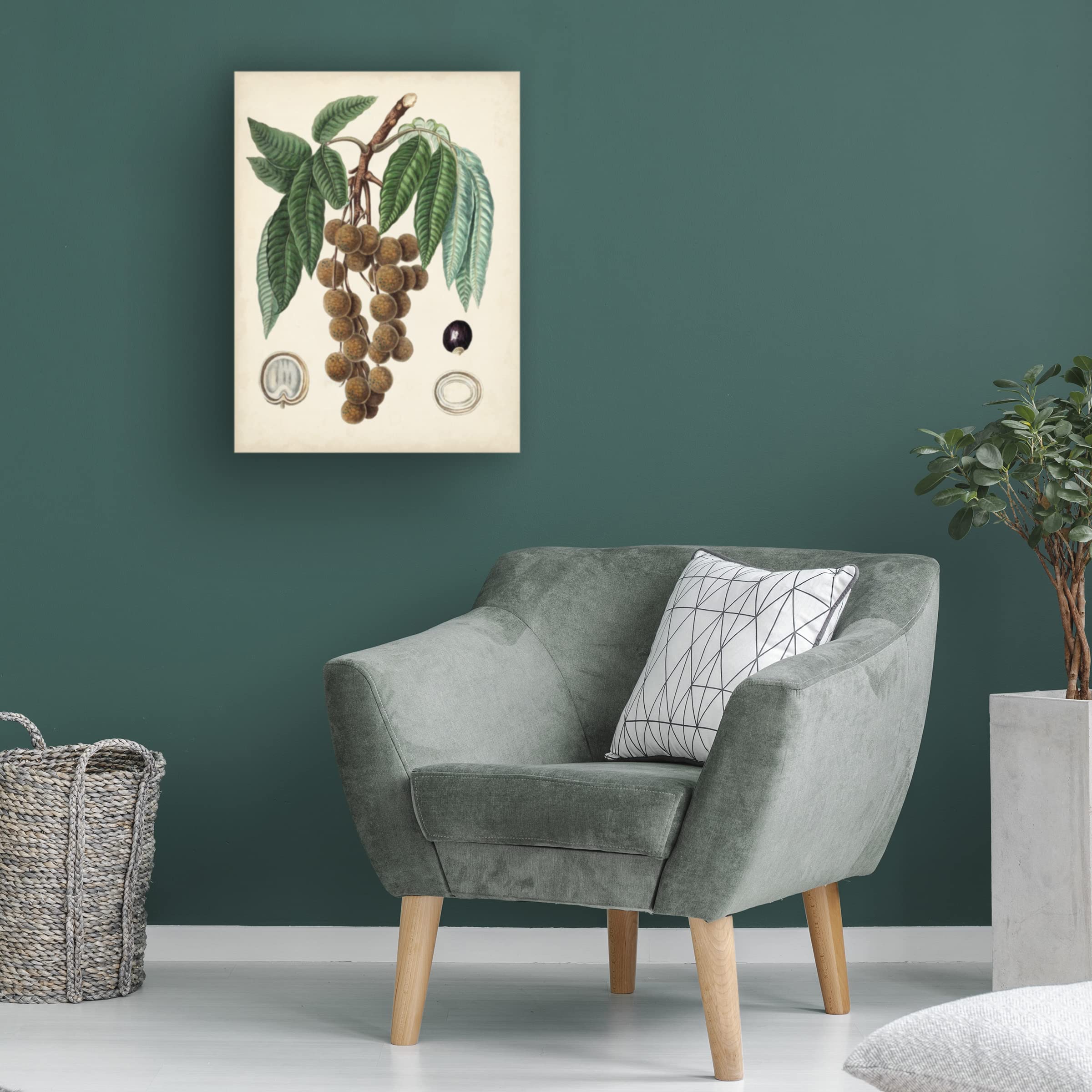 Trademark Fine Art 'Antique Foliage and Fruit III' Canvas Wall Art Print by Vision Studio - Perfect for Living Room, Bedroom & Office Decor