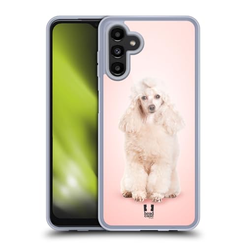 Portrait Of Poodle Dog