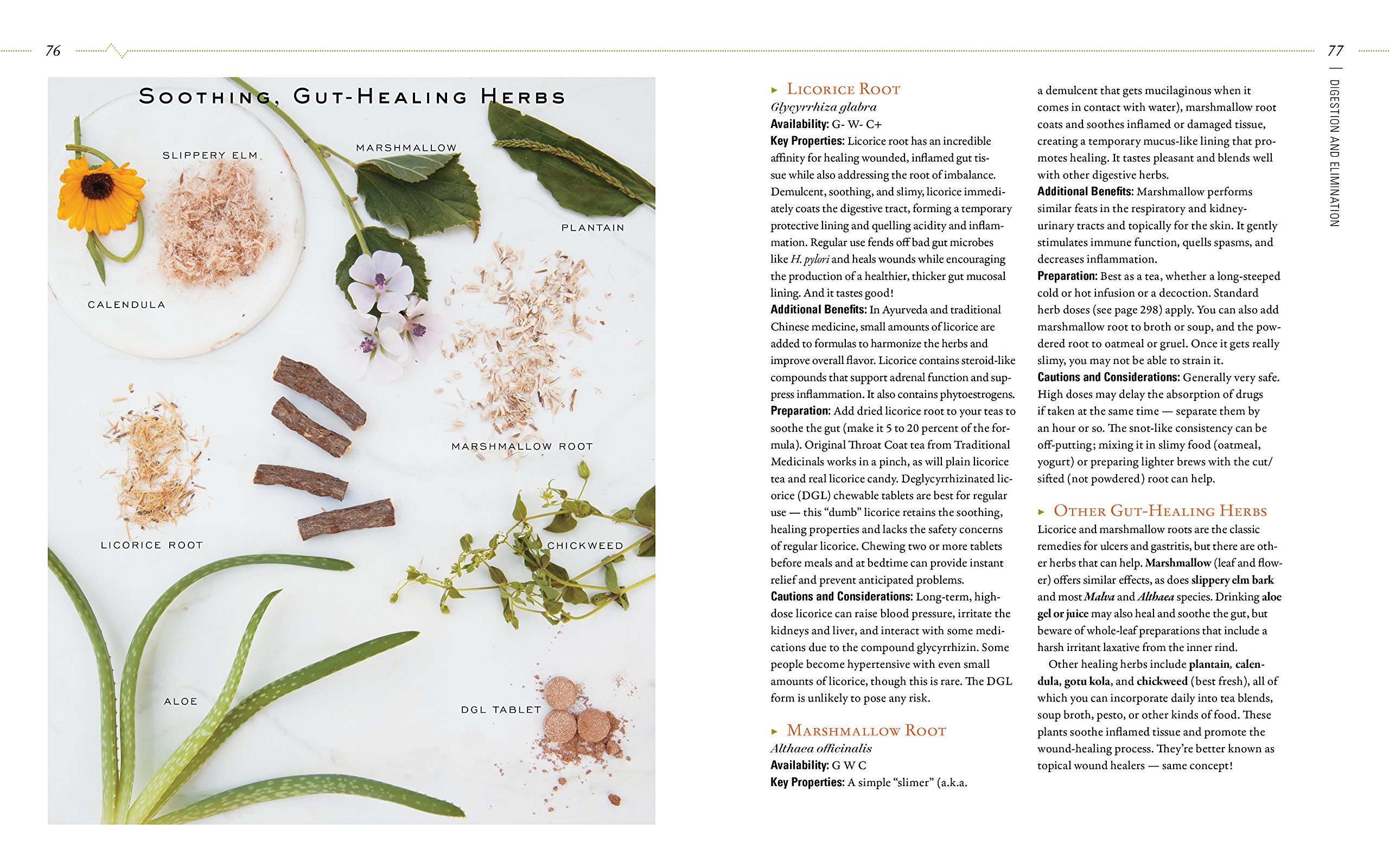 Body into Balance: Herbal Guide for Holistic Self-Care - Natural Remedies for Stress Relief, Better Sleep & Wellness at Home