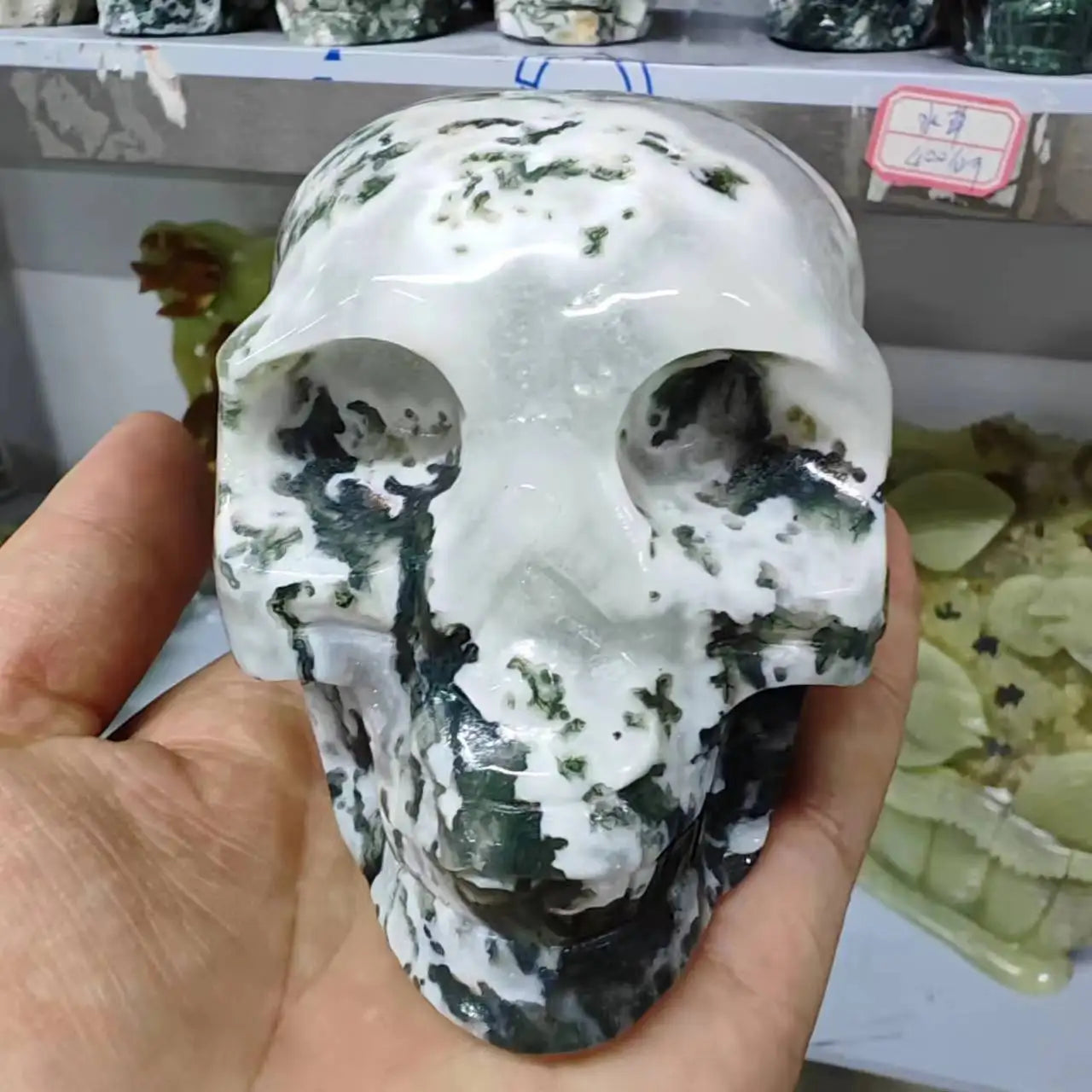 Natural Moss Agate Crystal Skull - Healing Energy Gemstone for Reiki, Meditation & Home Decor | Unique Spiritual Gift for Collectors & Healing Practitioners | Perfect for Yoga Spaces, Altars & Positive Energy Rooms