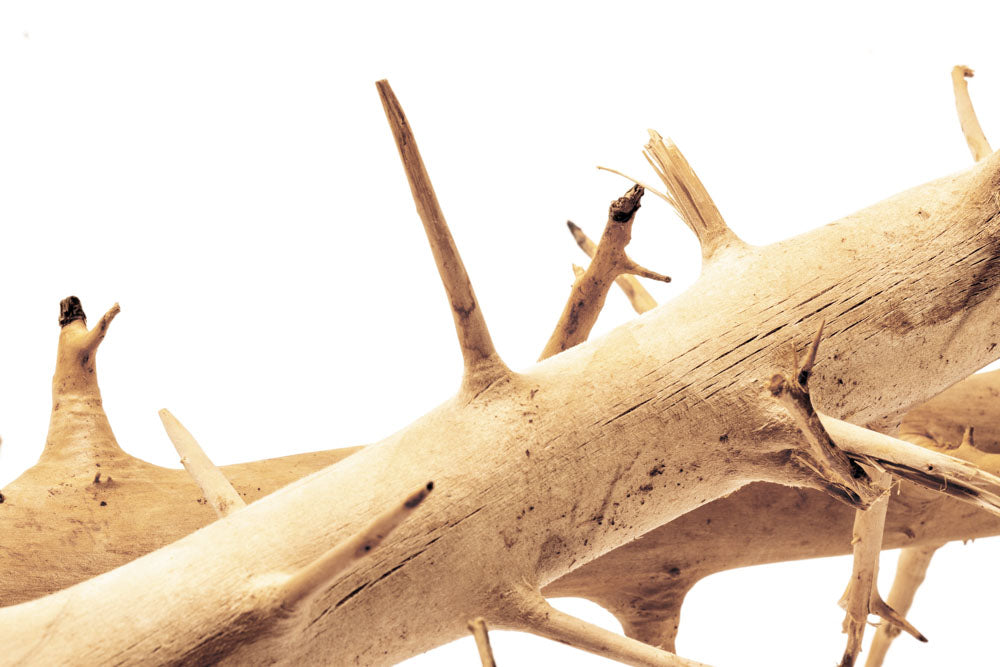 Premium Thorn Wood for DIY Crafts, Home Decor, and Woodworking Projects – Perfect for Rustic Furniture, Wall Art, and Handmade Gifts