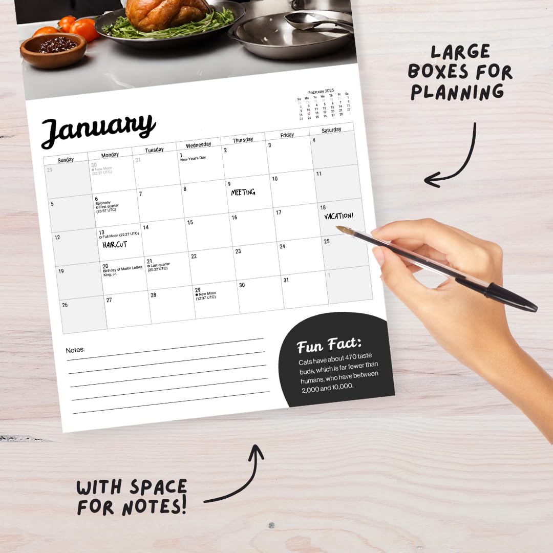 2025 Funny Cat Wall Calendar - Large 12 Month Planner with Adorable Cat Pictures | Perfect for Home, Office & Gift Giving | Fun Pets Collection