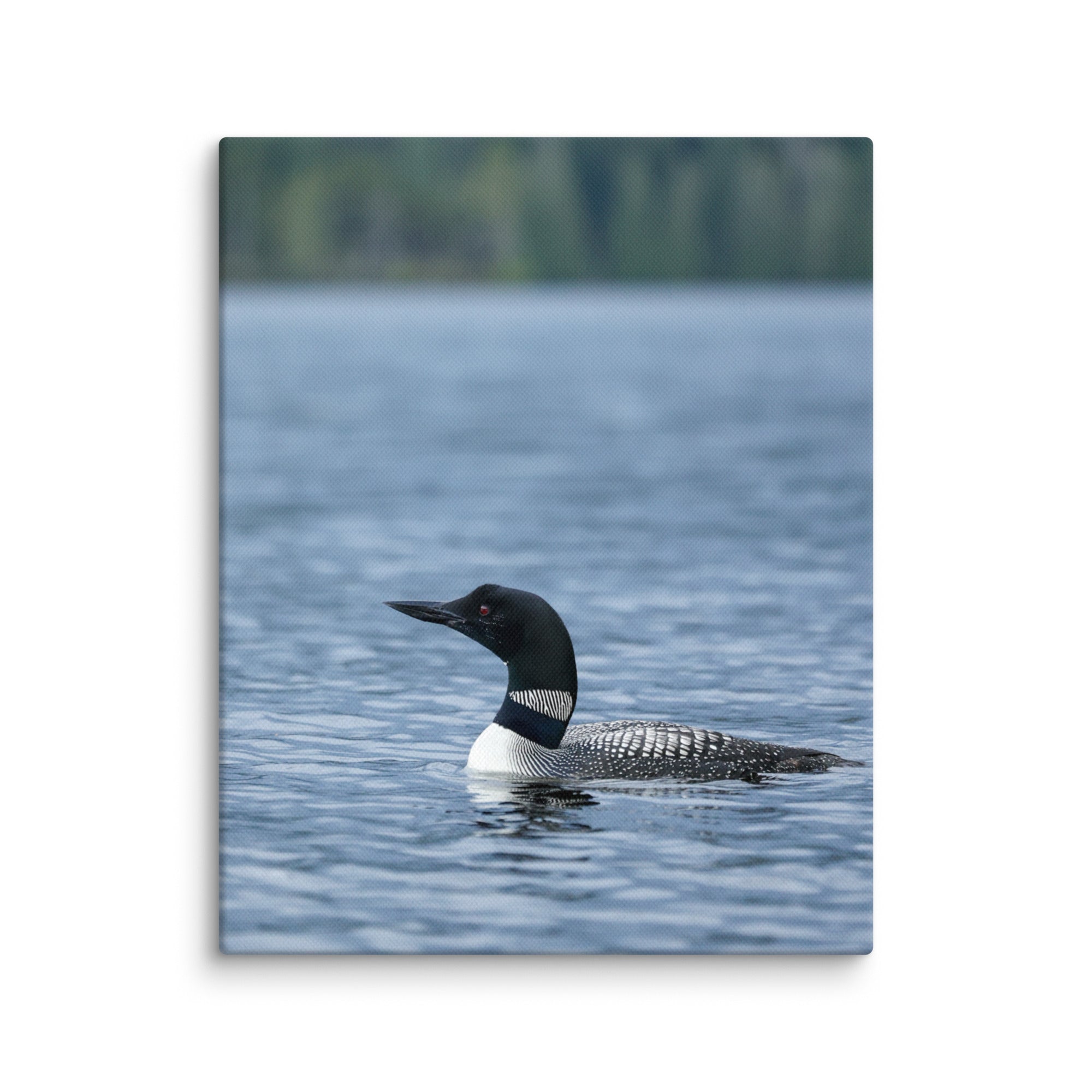 Premium Canvas Wall Art | Adirondack Loon Painting - Nature Inspired Home Decor for Living Room, Bedroom & Office