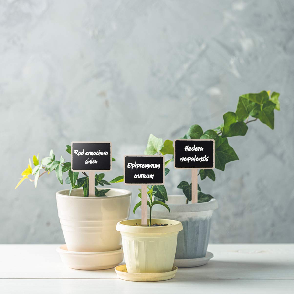 10Pcs Mini Wood Chalkboard Stakes - Reusable Plant Labels for Garden, Nursery, Flowers & Vegetables | Perfect for Seedling Identification, Herb Markers & Backyard Gardening Organization