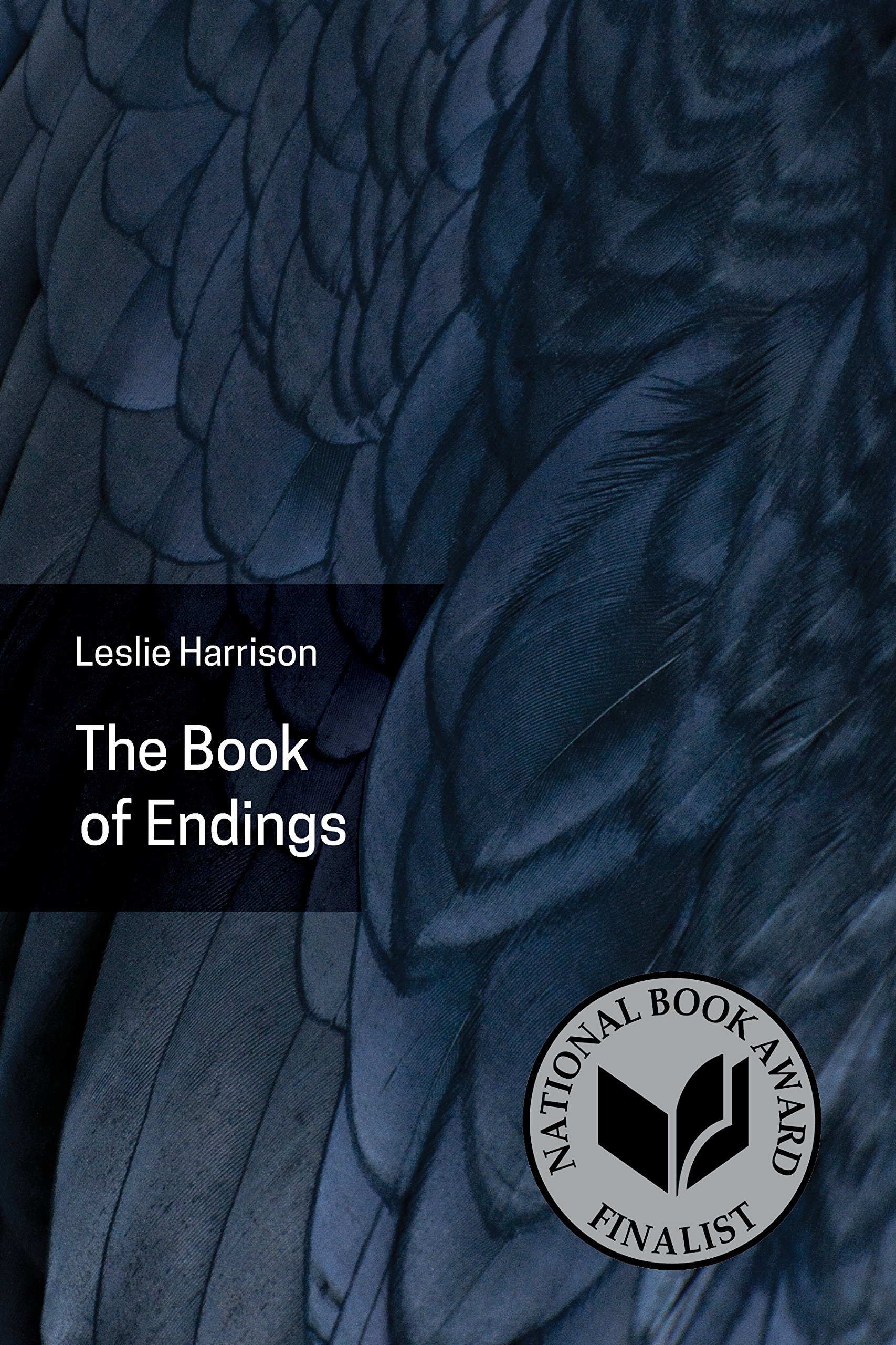 The Book of Endings: Akron Poetry Series - Perfect for Literature Lovers & Book Club Discussions