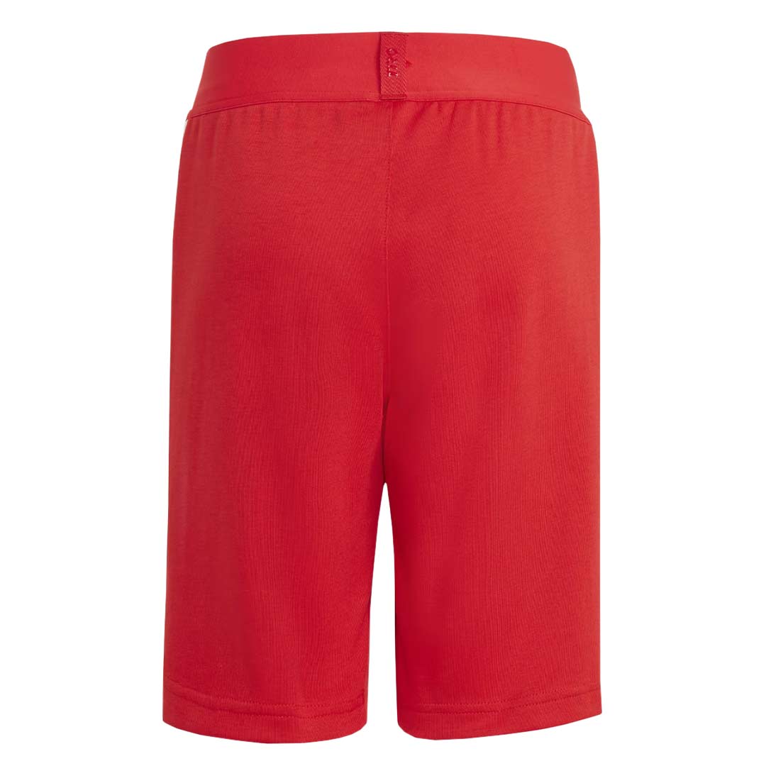 Adidas Kids' Tiro Shorts HY4224 - Junior Soccer Training Shorts for Boys & Girls - Perfect for Sports, Gym & Casual Wear