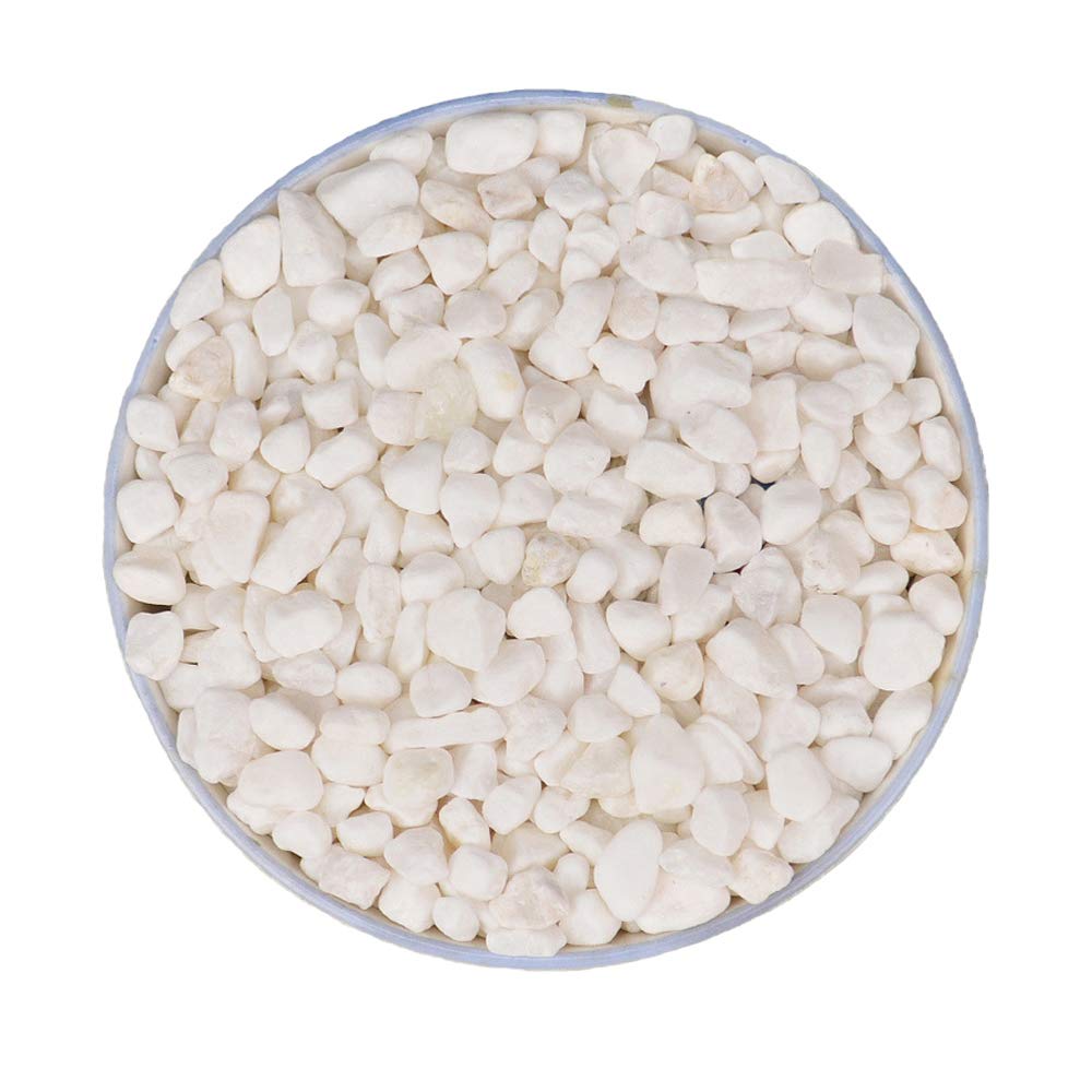White Pebbles for Gardening & Aquarium - 2.2lbs Decorative Stones for Plants & Fish Tanks