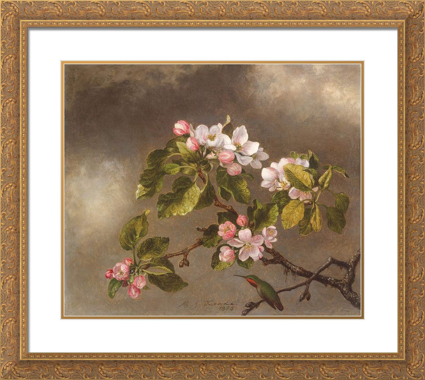 Martin Johnson Heade 16x15 Gold Ornate Framed Hummingbird & Apple Blossoms Art Print - Double Matted Museum Quality Wall Decor for Living Room, Bedroom & Office