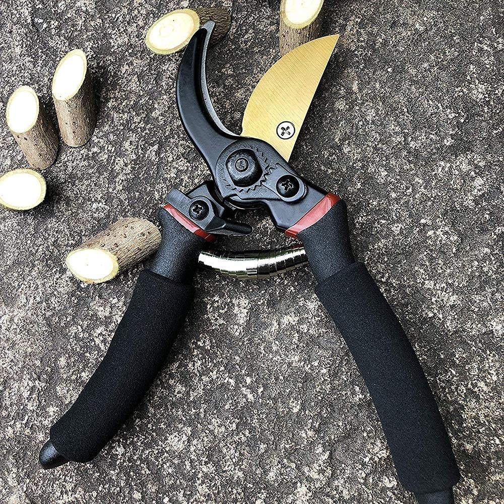 Professional Gardening Scissors & Pruning Shears with Safety Lock - Sharp Stainless Steel Blades for Tree Trimming, Plant Pruning & Landscaping - Ergonomic Non-Slip Handle for Comfortable Use (Ideal for Gardeners, Florists & DIY Enthusiasts)