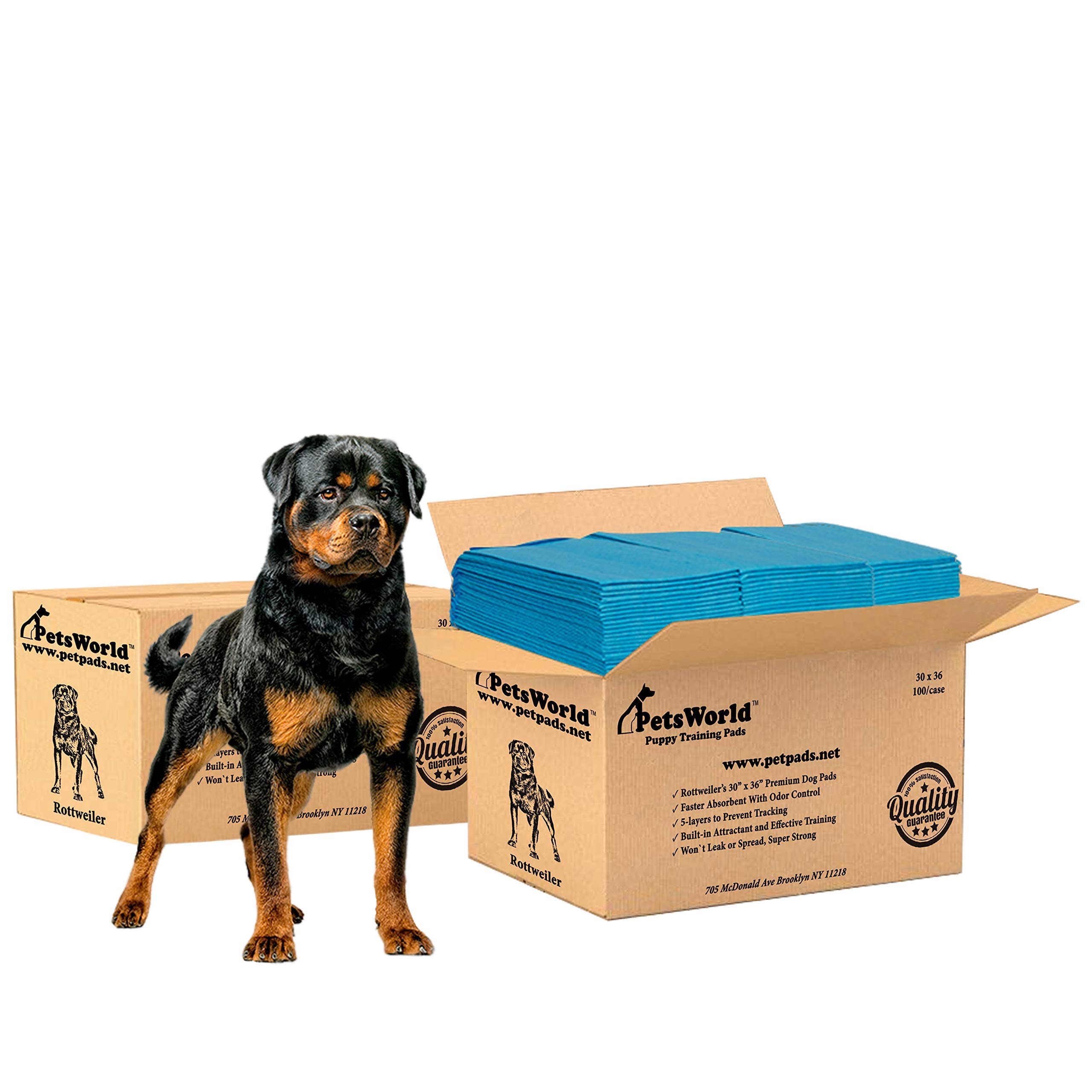 Extra Large Dog Potty Pads 30