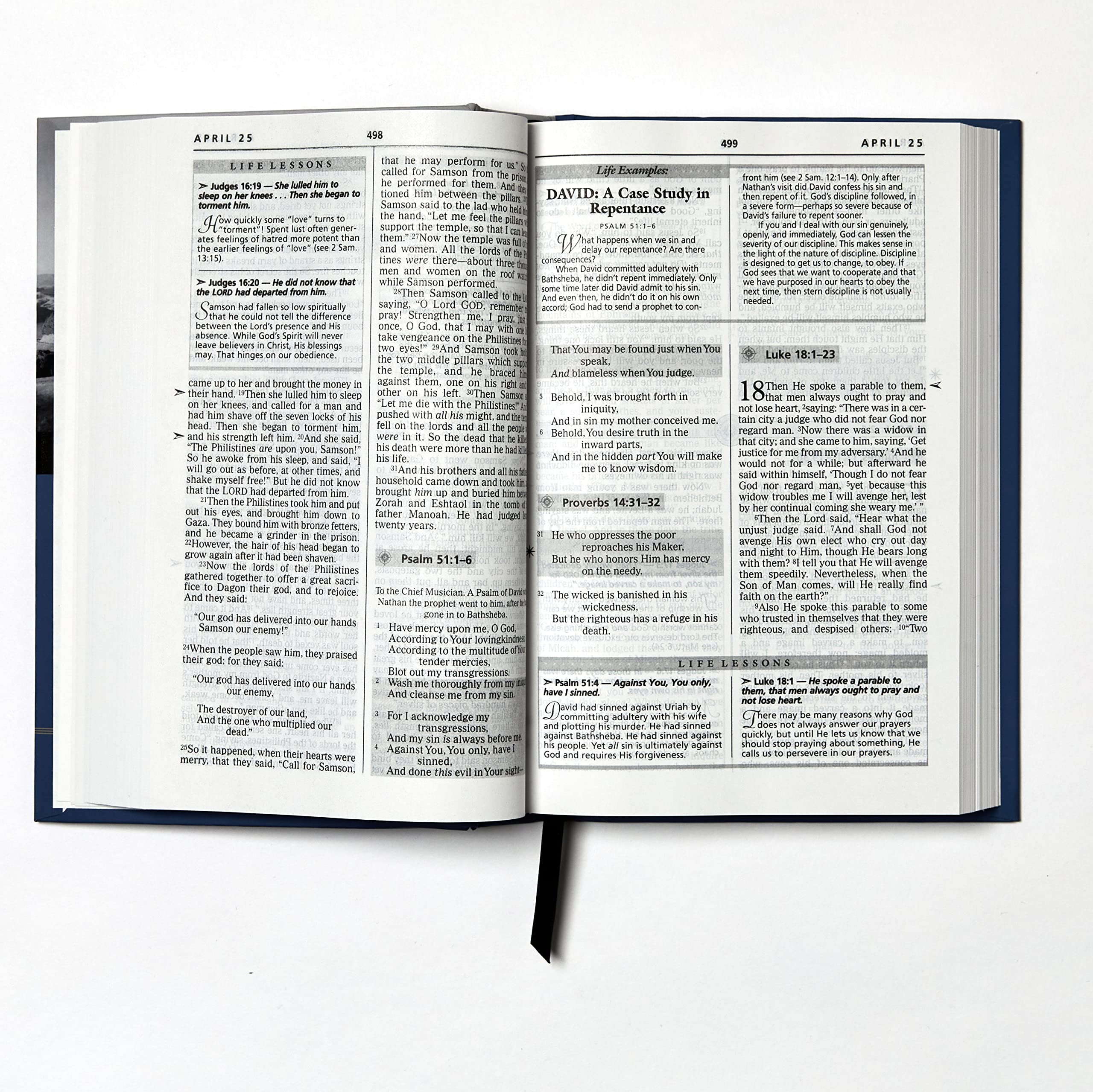 NKJV Charles F. Stanley Life Principles Daily Bible - Paperback Holy Bible, New King James Version - Perfect for Daily Devotions & Bible Study