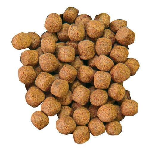 Premium Cold Water Fish Food for Ponds & Aquariums - Large Pellet Formula, 11 lb Bulk Bag - Ideal for Koi, Goldfish & Outdoor Pond Fish Nutrition