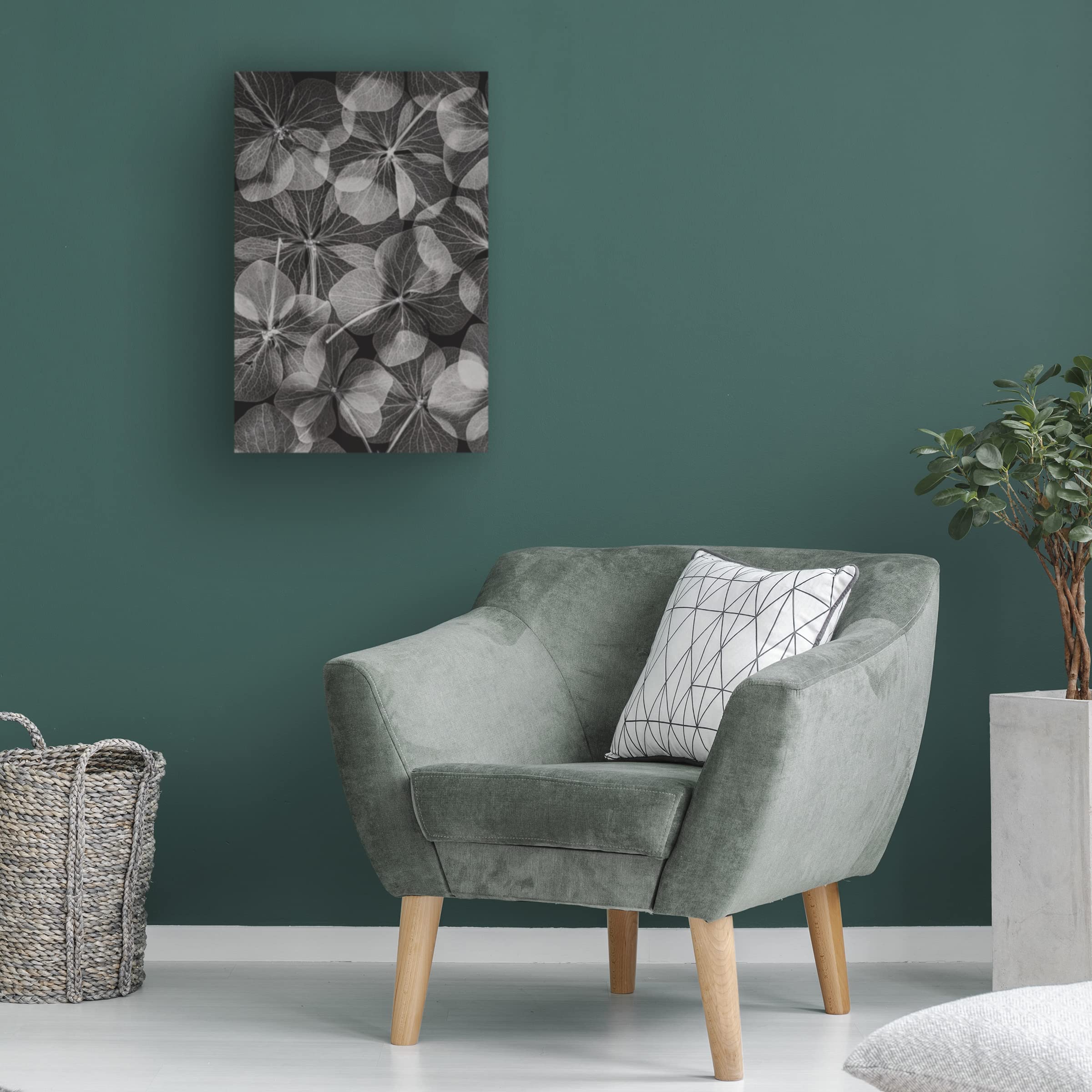 Trademark Fine Art 'Botanical 48' Floral Canvas Wall Art Print by Lenka - Perfect for Living Room, Bedroom & Office Decor