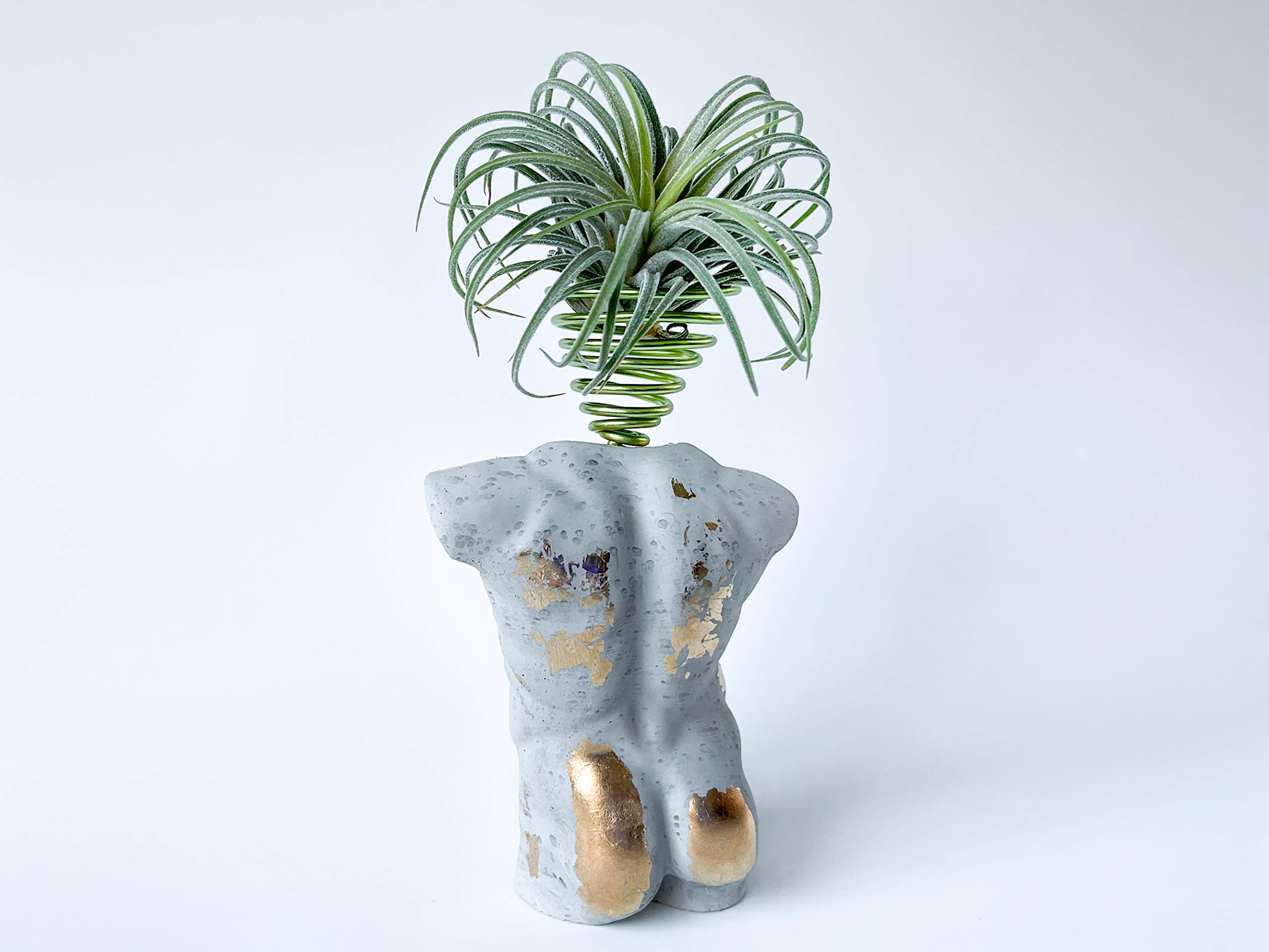 Set of 2 Air Plant Holders - Unique Concrete Mini Body Sculptures with Gold Leaf Accents | Modern Tillandsia Display Pots for Boho Home Decor | Perfect for Desk, Table, Shelf & Office Decorations