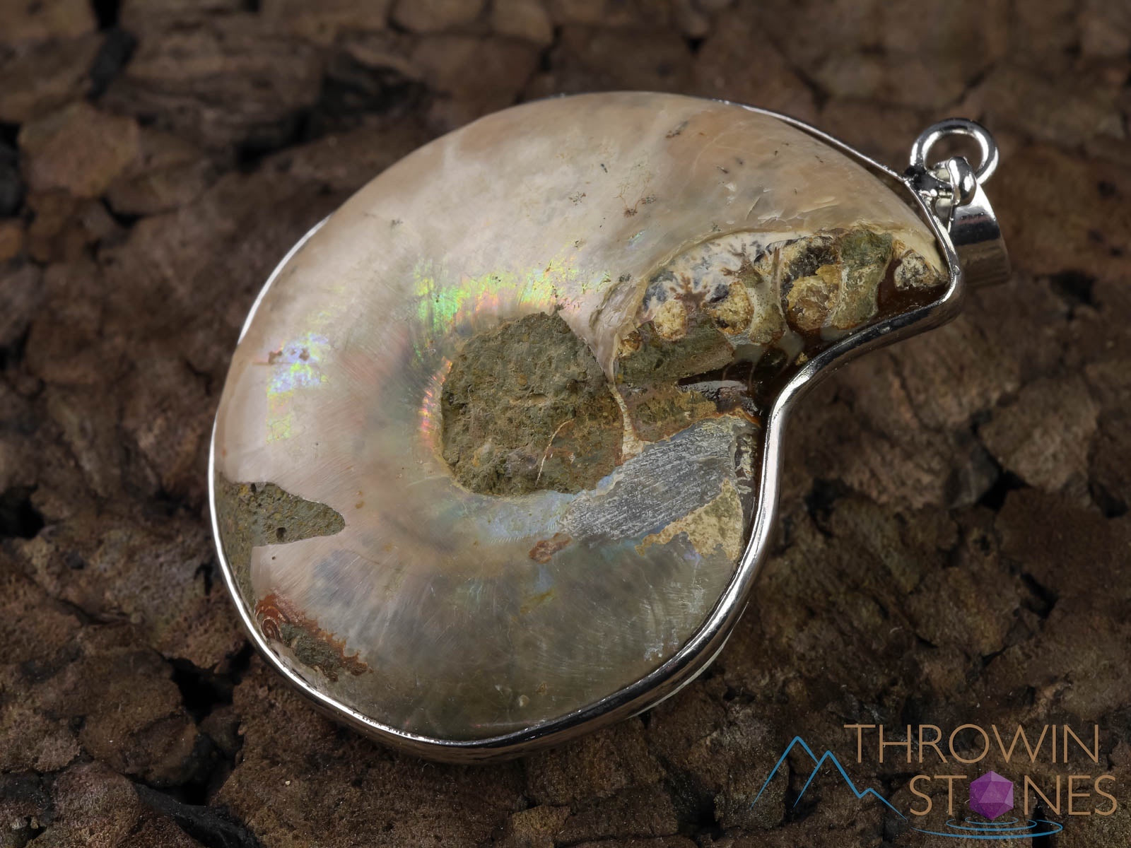 AMMONITE Fossil Pendant - Natural Ammolite & Opalized Ammonite Jewelry with Iridescent Colors | Unique Gift for Women, Men | Perfect for Birthdays, Anniversaries & Spiritual Healing (E0282)
