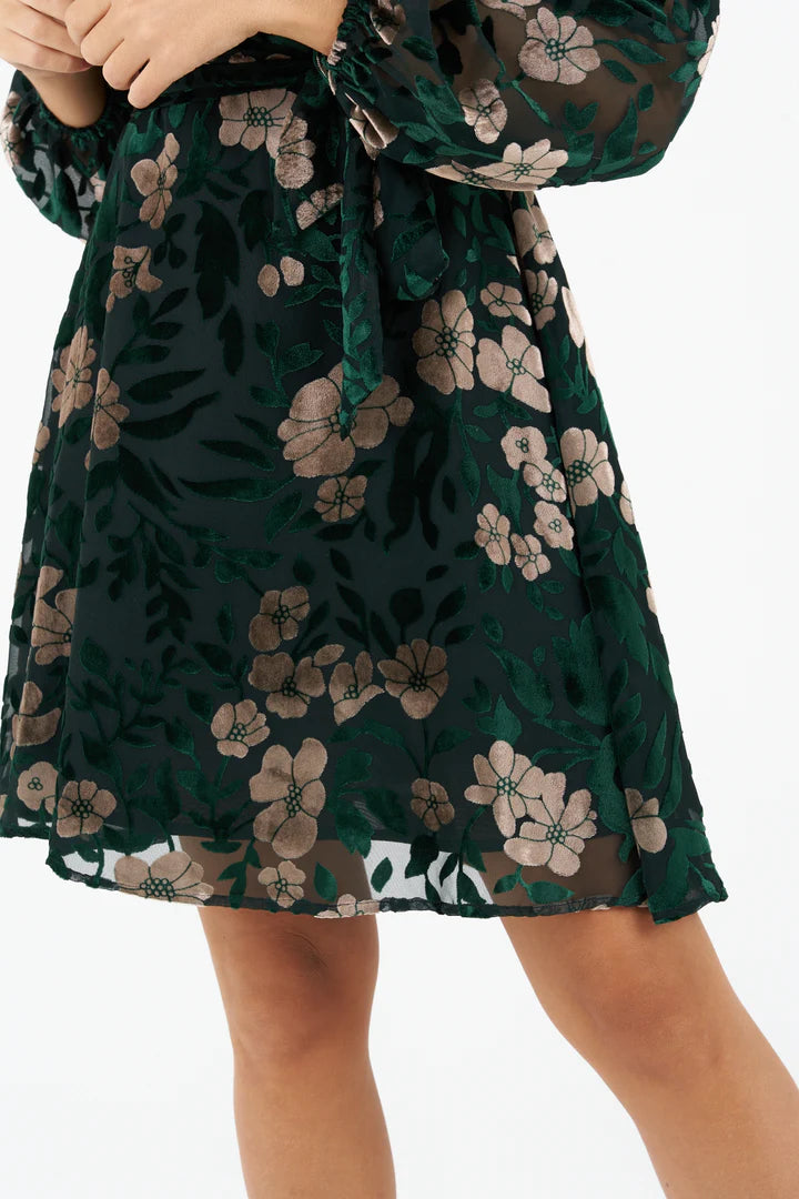 Jim Velvet Dress for Women - Elegant Green Velvet Party Dress - Perfect for Evening Events, Weddings & Holiday Parties