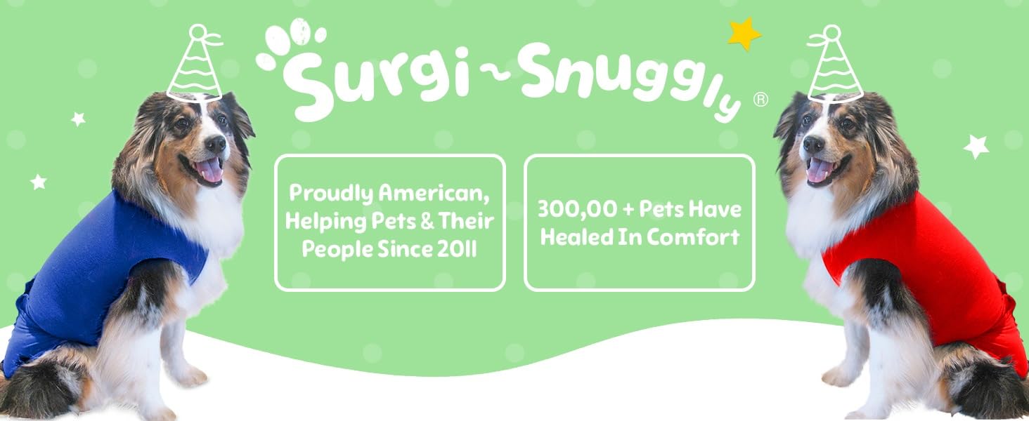 SurgiSnuggly Dog Surgery Recovery Suit - Post-Surgical Onesie for Spayed Female & Neutered Male Dogs | Cone Alternative | Sizes S/M/L/XL/XXL | Comfortable Bodysuit for Wound Protection & Healing | Perfect for Post-Op Care, Home Recovery & Vet Visits