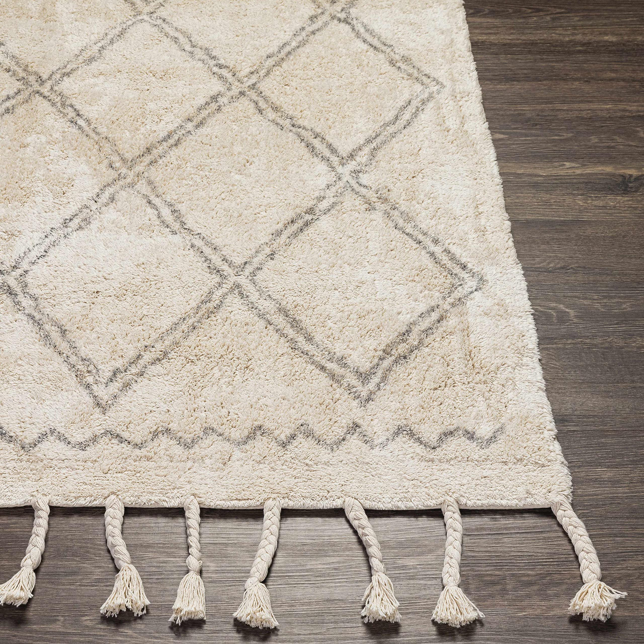 Bohemian Transitional Area Rug 8' x 10' - Gray & Cream Handwoven Rug for Living Room, Bedroom - Hauteloom Harvester Collection | Perfect for Boho Chic Decor, Cozy Home Makeover