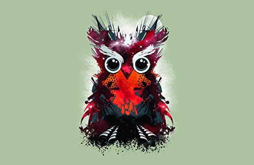 Owl Universe