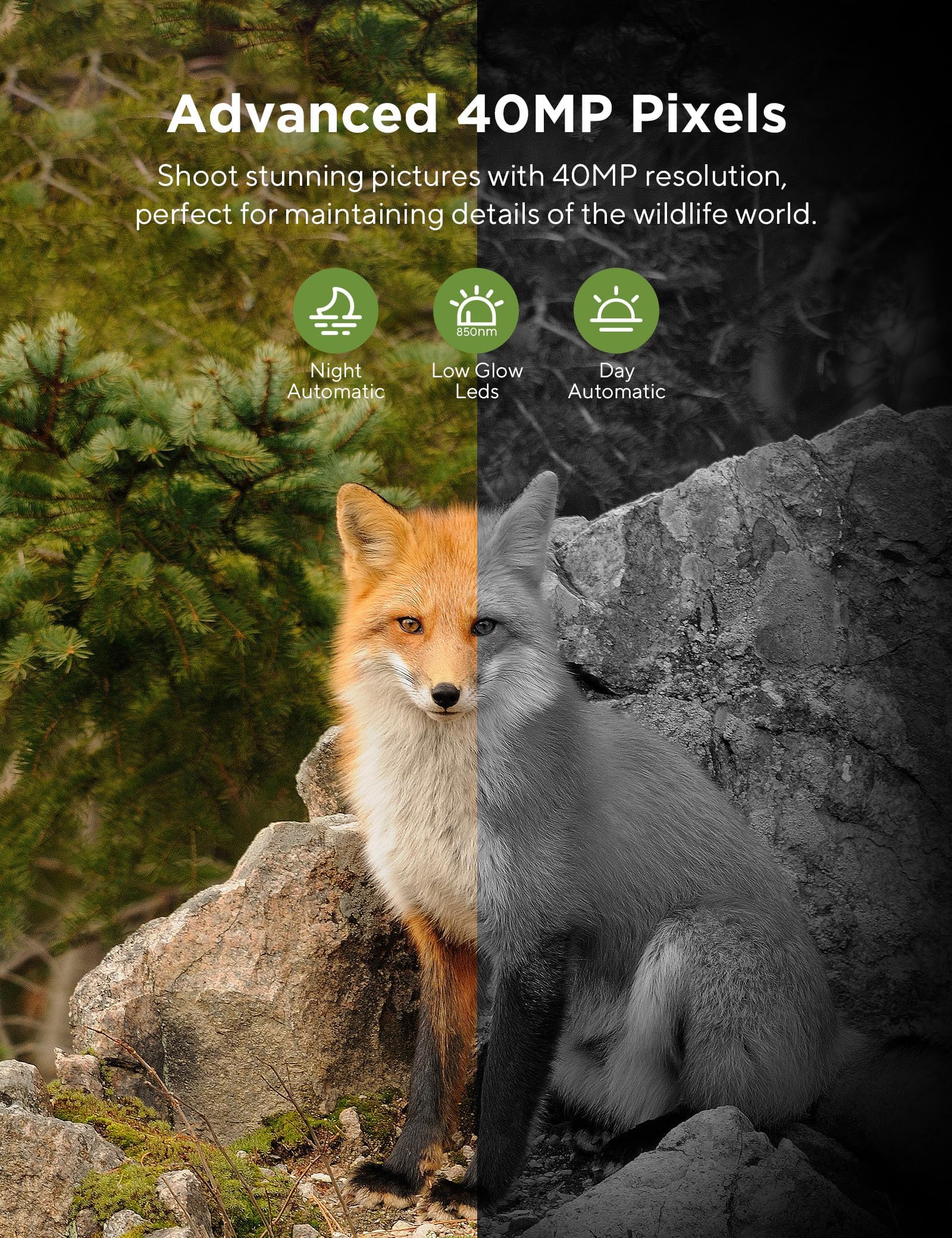 CEYOMUR 4K 40MP WiFi Bluetooth Trail Camera with 120° Motion Sensor, 0.2s Trigger Time & Night Vision - IP66 Waterproof Game Camera for Wildlife Monitoring, Hunting, and Outdoor Security