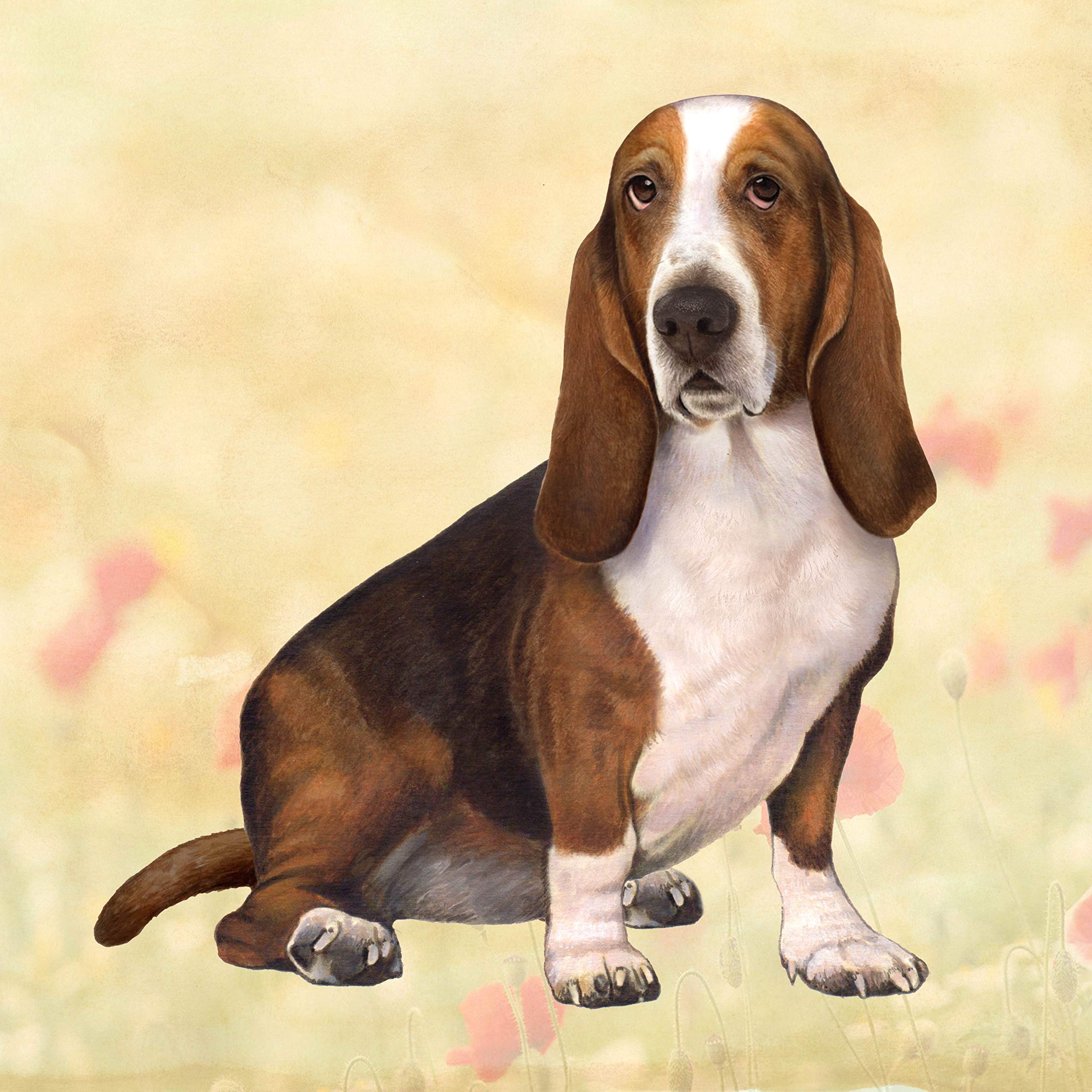 Basset Hound Absorbent Stone Coaster Set with Cork Back - Prevent Scratches & Water Rings on Wooden Tables - Perfect for Coffee Tables, Dining Tables, and Home Decor