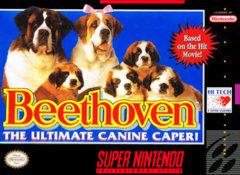 Beethoven (LS) Super Nintendo SNES Game - Classic Adventure for Kids & Family Game Night