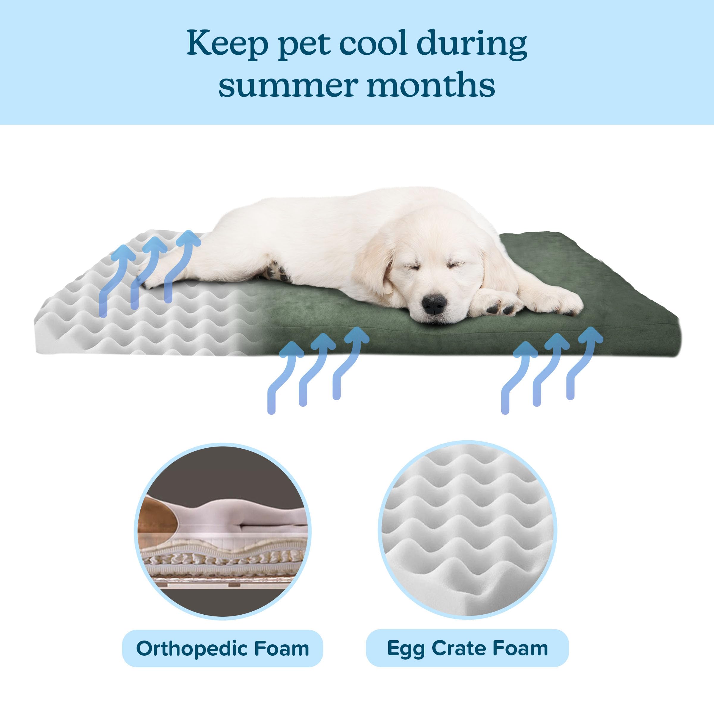 Orthopedic Dog Bed for Small Dogs - Water-Resistant, Non-Slip Bottom & Removable Washable Cover - 25.5 Inch Egg Crate Foam Pet Bed - Perfect for Puppies & Senior Dogs - Ideal for Crates, Living Rooms & Bedrooms (Green) by PETMAKER