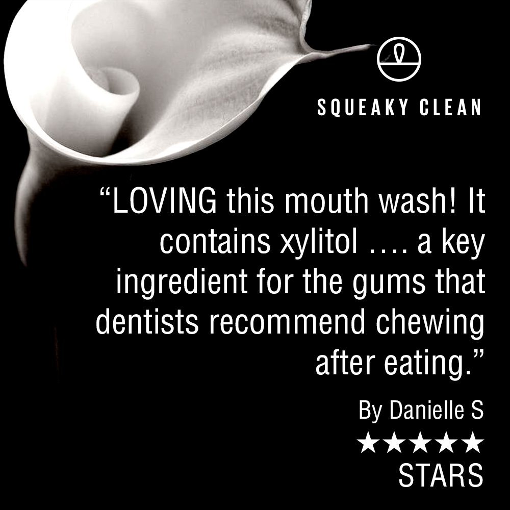 Alcohol-Free Mouthwash for Fresh Breath - 16 oz Squeaky Clean Oral Rinse with Cool Mint Flavor | Fights Bad Breath | Ideal for Daily Use, Travel & Post-Meal Freshness