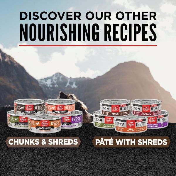 Orijen Regional Red Chunks & Shreds Entrée Canned Cat Food - Grain-Free, High-Protein Wet Cat Food for Adult Cats, 5.5oz - Perfect for Indoor & Outdoor Cats at Mealtime