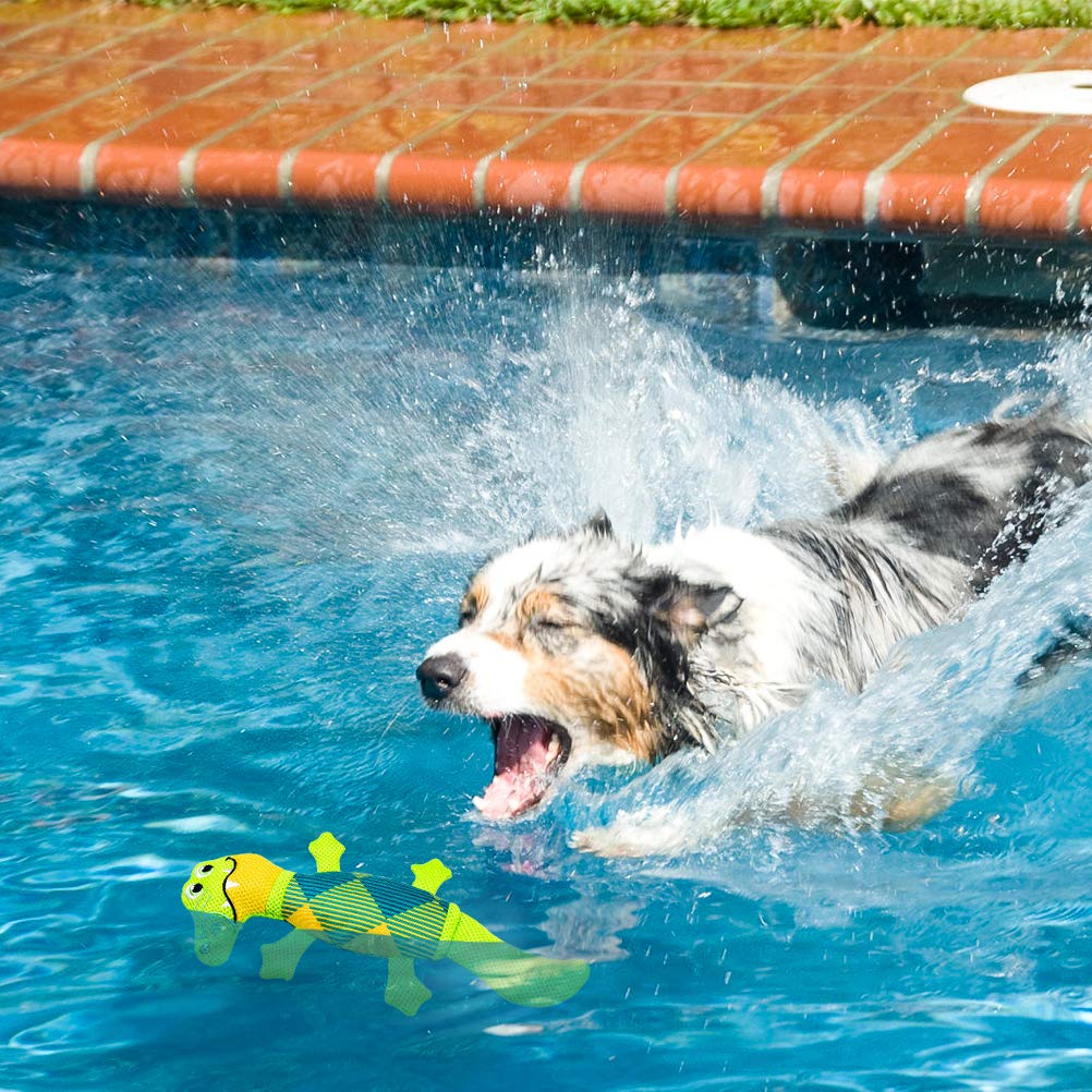 EXPAWLORER Floating Squeaky Dog Toys - 2 Pack Durable Oxford Fabric Water Toys for Pool, Lake & Beach | Interactive Chew Toys for Small & Medium Dogs | Perfect for Summer Outdoor Play, Swimming & Training