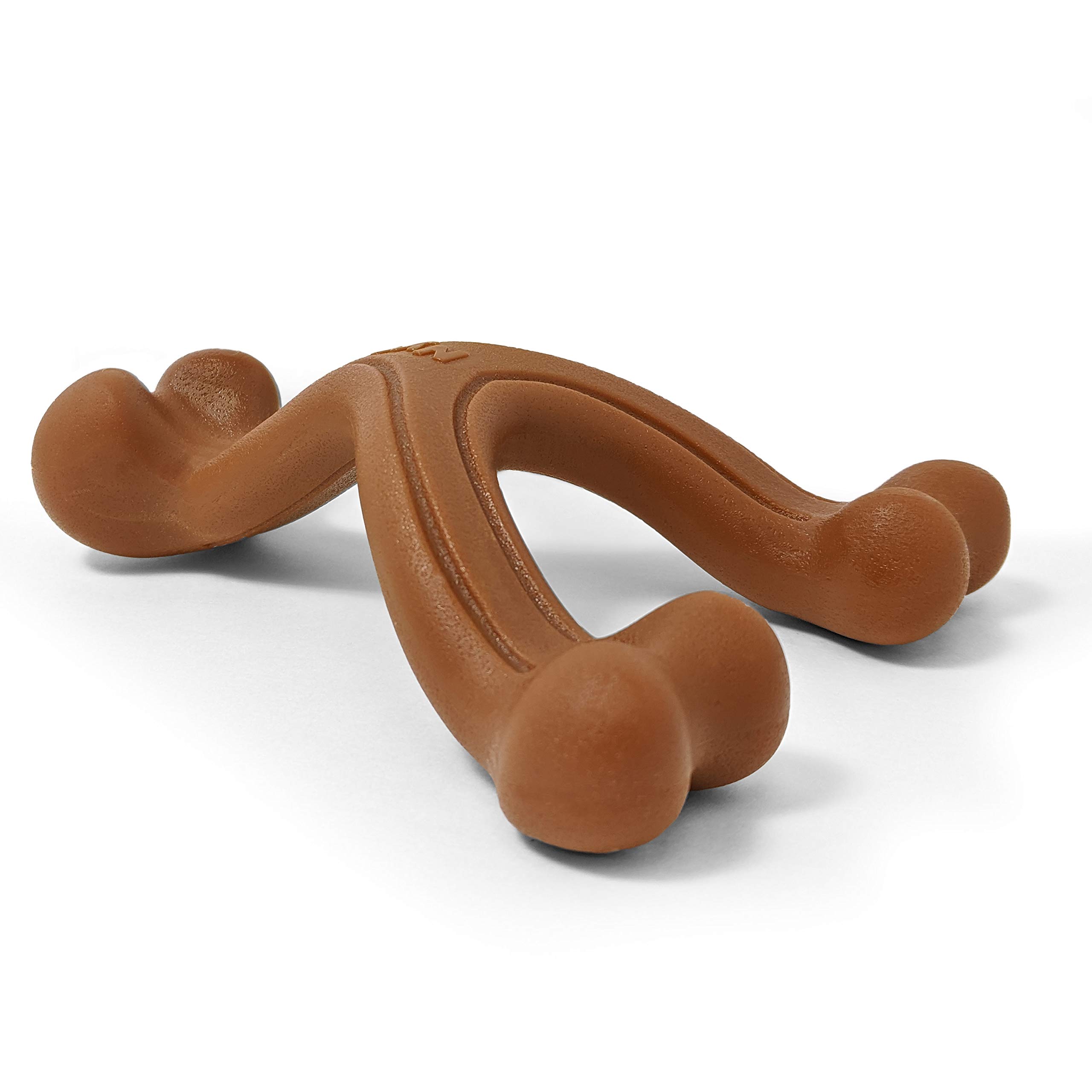 Nylabone Durable Dog Chew Toy for Adult Dogs - Bison Flavor, Small/Regular Size, Perfect for Aggressive Chewers