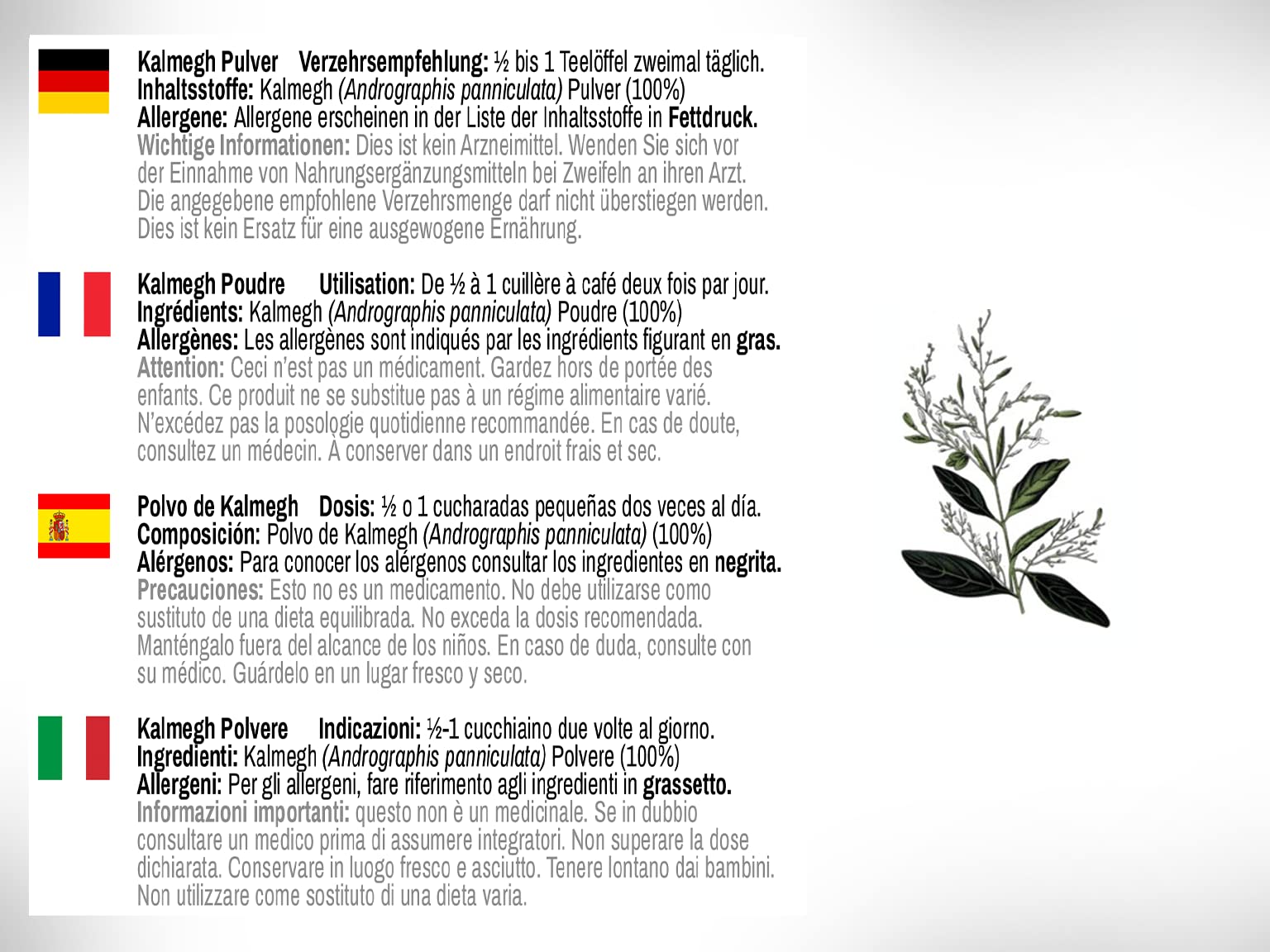 DR WAKDE'S Organic Kalmegh Powder (Andrographis paniculata) - 100g (3.5oz) | Pure Raw Dried Herbal Supplement | Natural Immune Support | Vegan, Non-GMO, Gluten-Free | Premium Grade Ayurvedic Remedy | Perfect for Teas, Smoothies & Wellness Routines