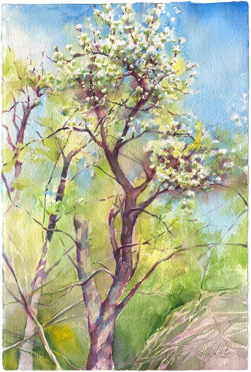 Watercolor Flowering Tree Blossom Fine Art Print - Botanical Wall Art for Bedroom Decor | Perfect for Home, Office & Nursery