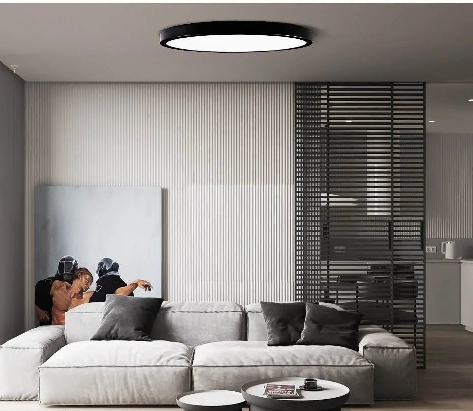 Emily Modern Flush Mount Ceiling Light Fixture - Energy Efficient LED Lighting for Bedroom, Kitchen, Hallway & Living Room
