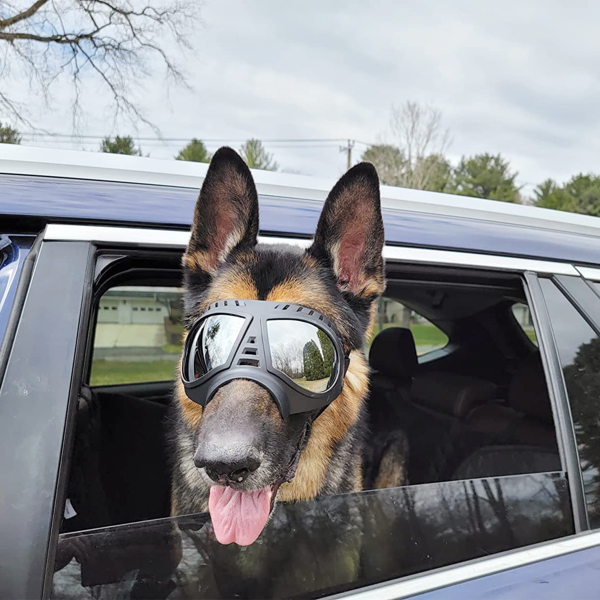 **Namsan Dog Goggles for Large Dogs – UV Protection, Soft Frame, Adjustable Fit – Tactical Dog Sunglasses for Summer Driving & Winter Snow – Medium to Large Breeds with Wide Snout (Black)**    *Perfect for outdoor adventures, beach trips, hiking, and snowy terrain to keep your dog's eyes safe and comfortable!*
