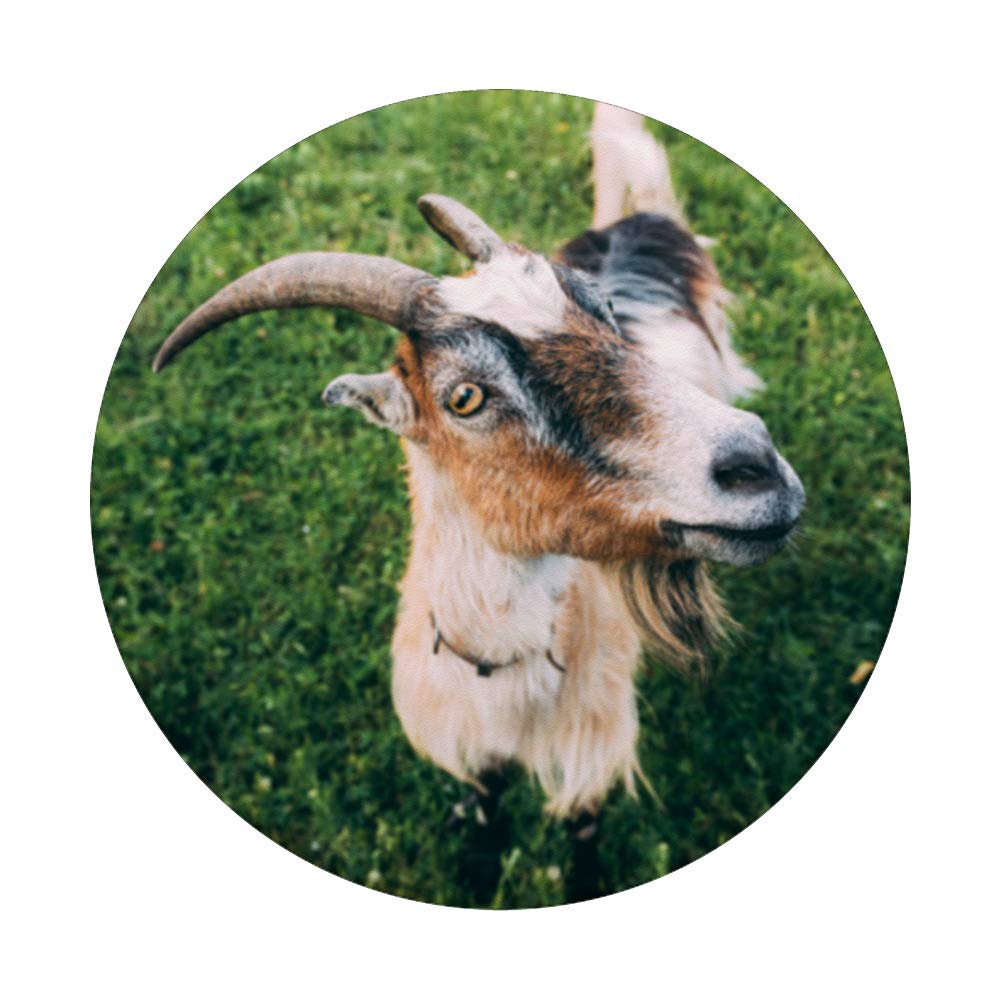 Goat Horns PopSockets - Expandable Phone Grip & Stand for iPhone, Samsung, Tablets | Anti-Slip Mobile Accessory for Gaming, Selfies & Everyday Use