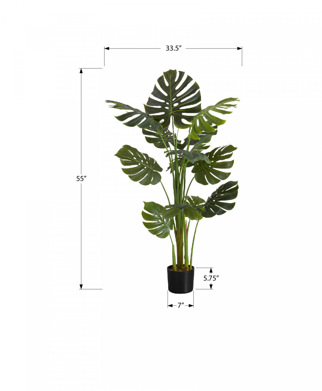 55 Inch Monstera Deliciosa Swiss Cheese Plant with 6 Black Nursery Pots - Large Indoor Tropical Houseplant for Home Decor, Office, Living Room & Bedroom