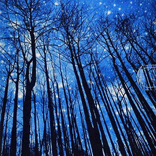 Sky Forest