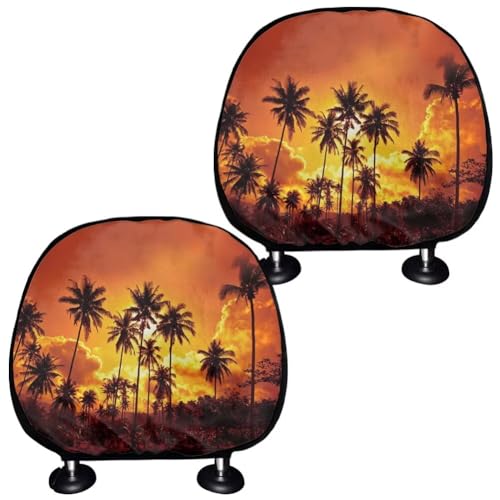 Hawaiian Palm Orange Sky