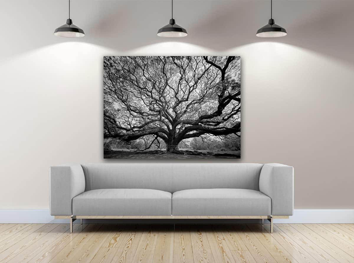 Tree of Wisdom Photography Canvas Art - 30x40 Inch Wall Decor for Living Room, Bedroom & Office - Nature Inspired Home Decor Gift