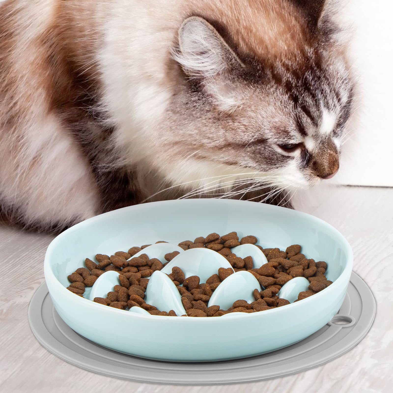 Slow Feeder Cat Bowl with Non-Slip Mat - Ceramic Puzzle Feeder for Cats & Dogs - Healthy Eating Bowl with High Edges for Kittens & Puppies - Perfect for Fast Eaters and Digestive Health