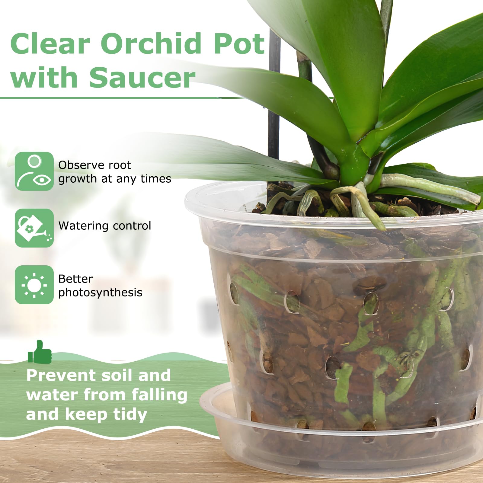 **8 Pack 3 Inch Clear Plastic Orchid Pots with Holes & Saucers - Slotted Planters for Indoor/Outdoor Orchids, Phalaenopsis & Air Plants - Perfect for Home, Office & Garden Decor**