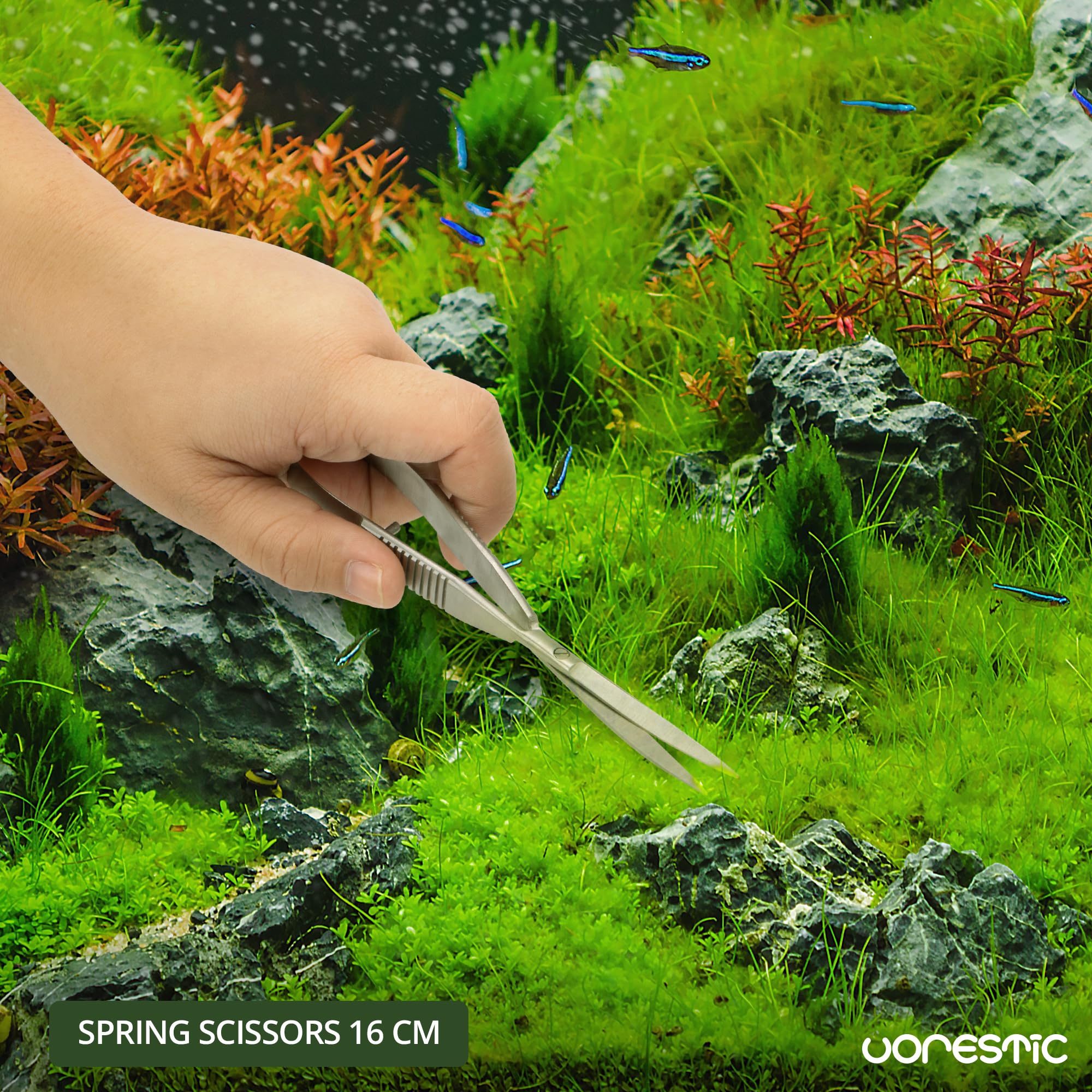 6.3 Inch Aquarium Spring Scissors - Stainless Steel Aquascaping Tools for Aquatic Plants, Terrarium & Fish Tank Maintenance | Perfect for Trimming, Pruning & Shaping Underwater Gardens