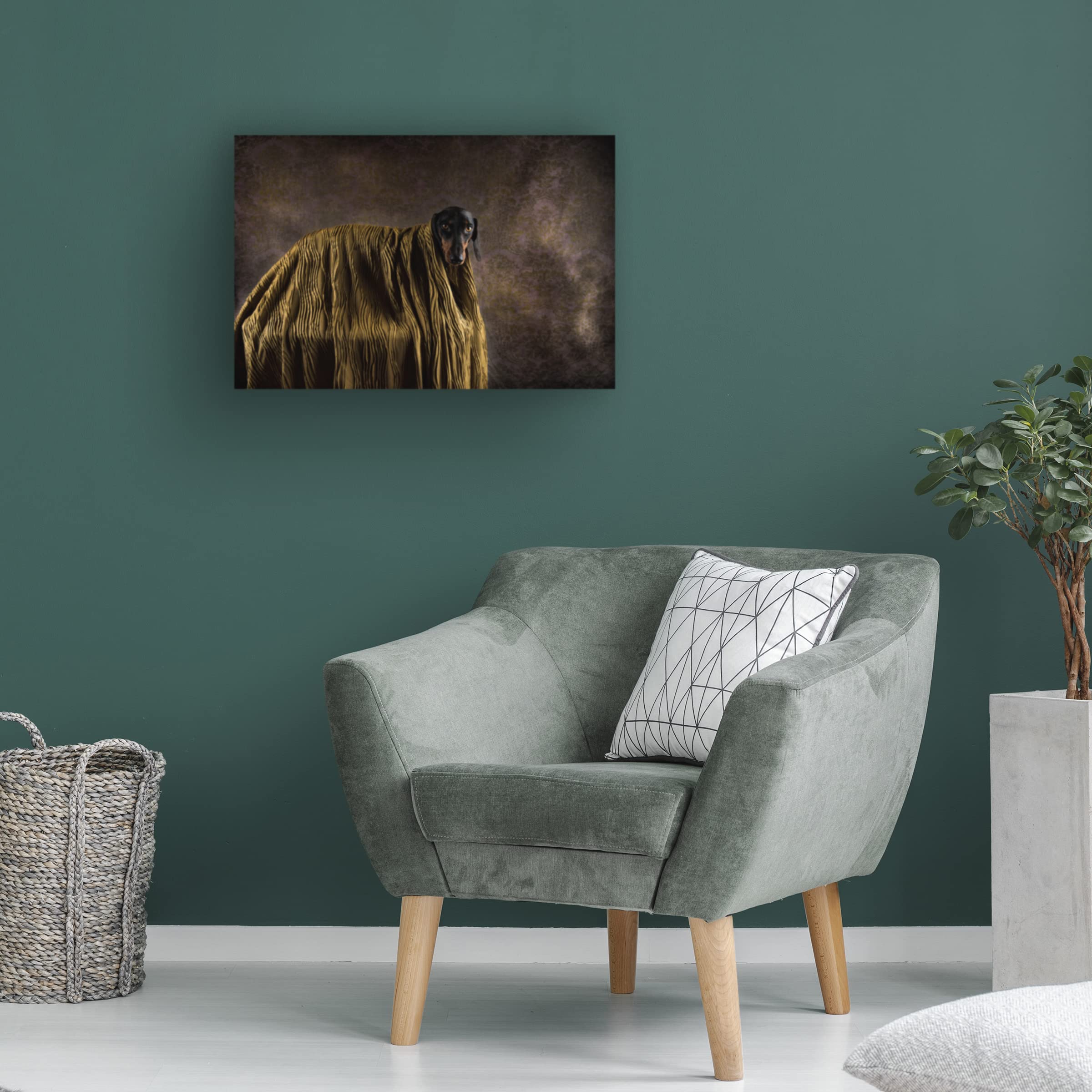 Trademark Fine Art 'Little Dandy' Canvas Wall Art by Heike Willers - Perfect for Living Room, Bedroom & Office Decor