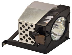 High-Quality DATASTOR PL-089 Replacement Projector Lamp Bulb with Housing - Compatible with Multiple TV & Home Theater Projectors - Perfect for Home Cinema, Office Presentations, and Classroom Projections