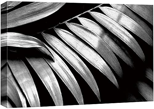 Bs02-leaves-fo02