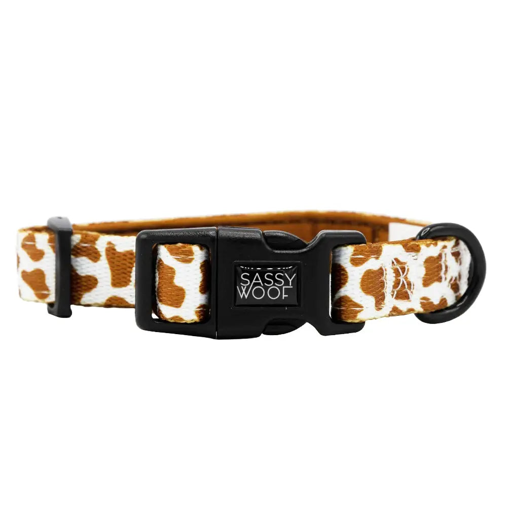 Premium Chocolate Milk Dog Collar - Adjustable & Comfortable Pet Collar for Small & Medium Dogs - Perfect for Walks, Training & Everyday Use